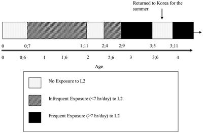 Acquisition of a new language: an enriched case study documents language growth without external input in a young Korean child’s acquisition of English